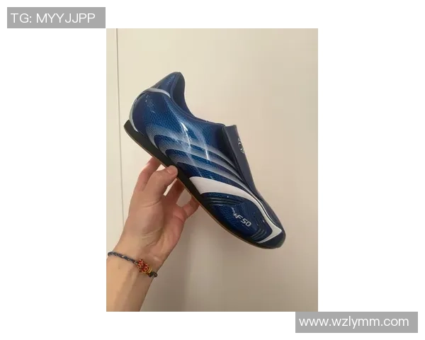 揭秘足球球星最常用的经济实惠鞋款价格与性能分析 揭秘足球球星最常用的经济实惠鞋款价格与性能分析